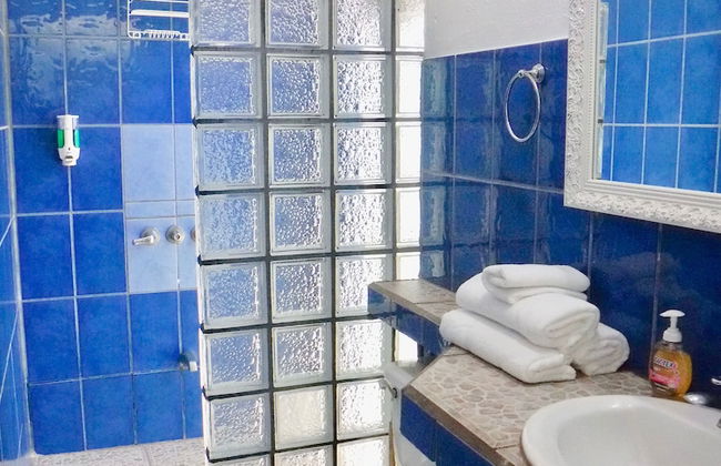 Bohemian Monkey - Foto 23