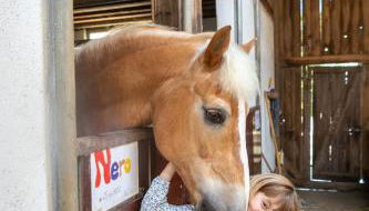 Pferdehof Bischof - Foto 2