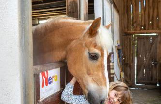 Pferdehof Bischof - Foto 2