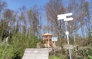 FeWo Sulzbachtal, Nähe Europa-Park, Rulantica, Schwarzwald, Feldberg - Foto 21