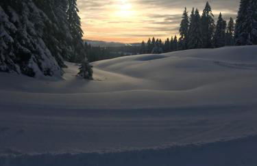 Le Méridoie - Foto 11
