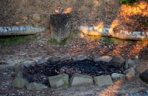 Zacisze Babci Ludwisi w Beskidzie Niskim - Photo 35