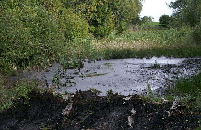 House Marina Modern Retreat - Foto 10