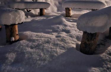 JELONKOWO - Dom na wynajem - Kaszuby - Foto 39