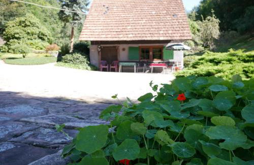 Börsighof, 54qm - Foto 11