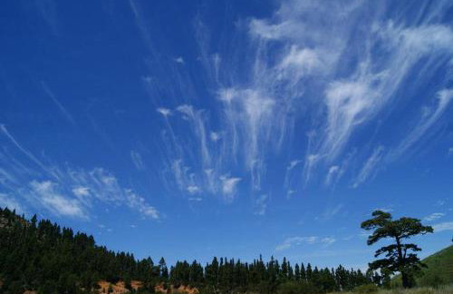 Caserio Los Partidos - Foto 34