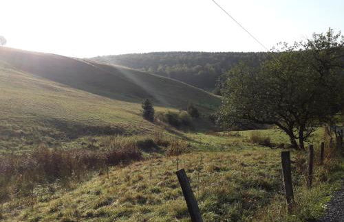 Haus Wald-Eck - Foto 33