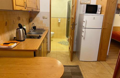 Apartamenty Cicha Dolina - Foto 70