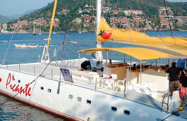 Ixtapa Zihuatanejo Whale Watching - Photo 3