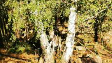 Pension Kroppental - Foto 5