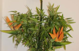 REBENBLÄTTLE - Foto 15