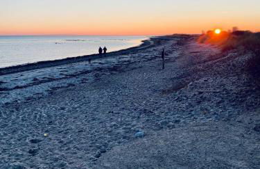 Holzhütte Ole zw. Meer & Wald mit Kamin & Sauna - Foto 32