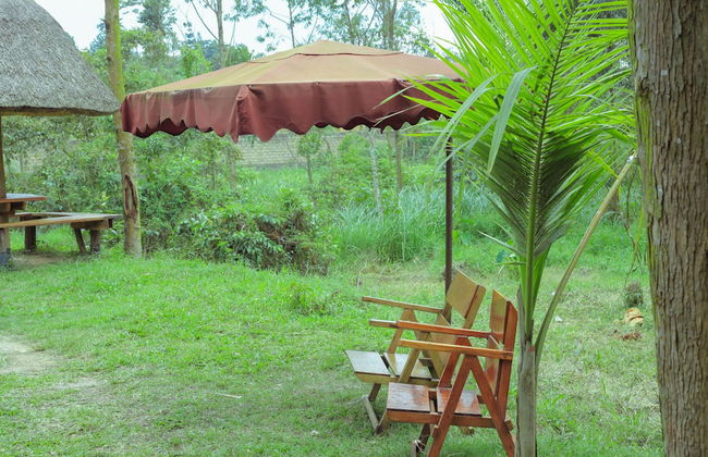 Nyungu Yamawe Forest Park - Foto 17