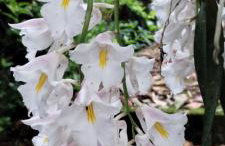 Casa do Artista - Foto 23