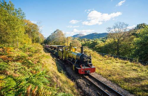 Herdwicks - Foto 144