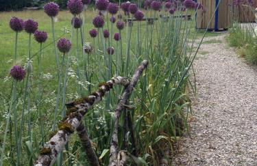 Le Refuge aux étoiles - Foto 11