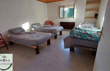 Gîte et Gîte Equestre Au Galop des 1000 Etangs - Foto 17