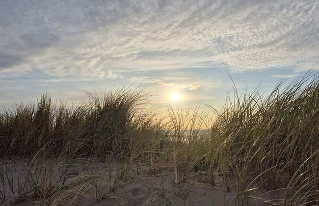 Surf Paradise in Klitmoller - By Traum Ferienwohnungen - Foto 24