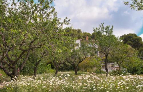 La Muntanera - Eco-friendly apartment - Foto 34