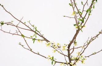 Apartment, Schwelm, Neu, 1 Schlafzimmer, 3 Betten, 1 Badezimmer - Foto 15