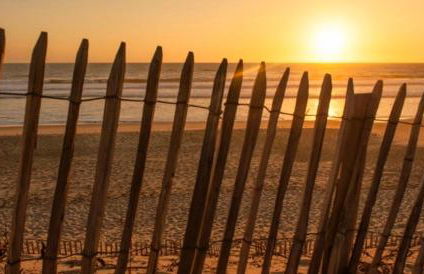 House de la Canopée, Swimming pool, Lake, Forest, large garden and WIFI - Foto 35