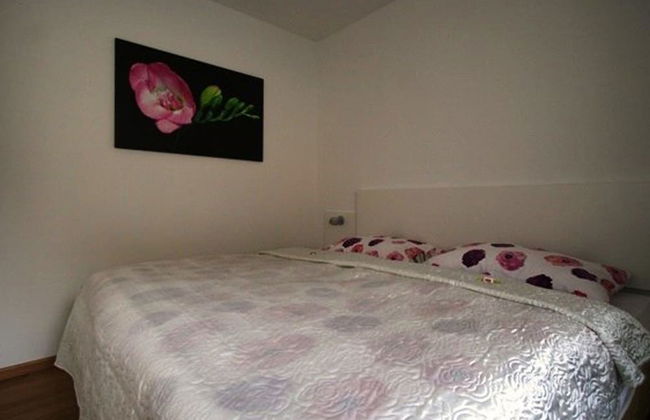 Apartments & Wellness Skok Mozirje - Photo 4