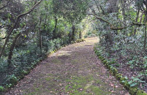 Casa d'Óbidos - Foto 144