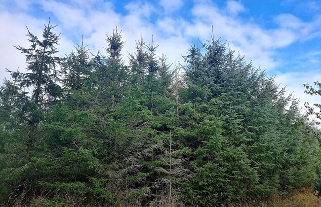 Luxury Spa Retreat in Thorsager - By Traum Ferienwohnungen - Photo 5