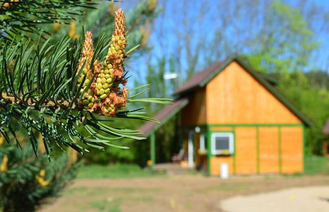 tuŻur Domki Nad Potokiem - Foto 30