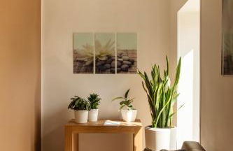 La Cicas Case Vacanze - Foto 25