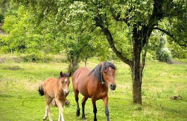 Casa Beatriz - Foto 37