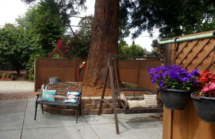 Redwood Place in Heart of Silicon Valley - Photo 11