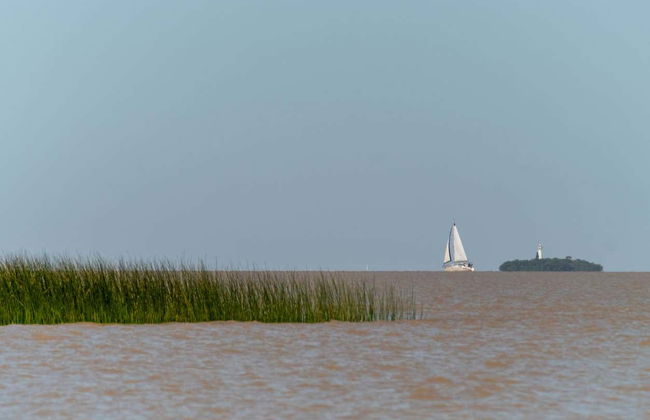 Tigre & La Plata Rivers Private Sailing Trip - Photo 7