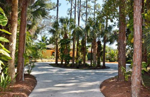 JUPITER WATERFALLS - NEWLY UPDATED - TIKI HUT, FIRE PIT, KITCHEN, POOL HEATER and MORE - Photo 28