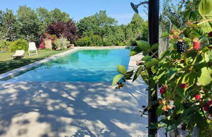 El huerto de la Reina - Foto 45