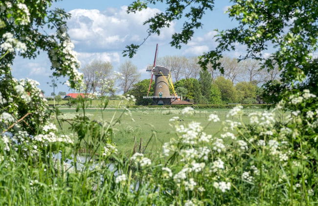 Quaint Holiday Home in Zonnemaire With Roofed Terrace - Foto 23