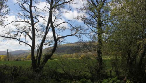 The Cabins Conwy - Foto 3