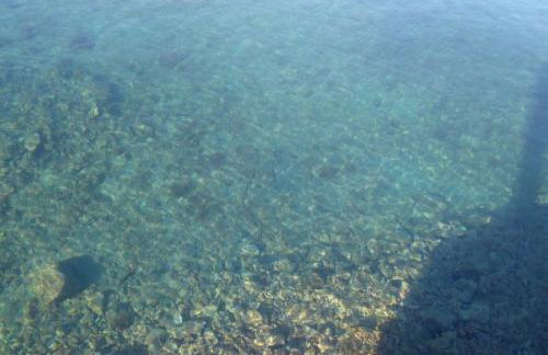 Apartments Vesna - Photo 13