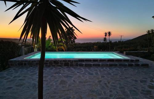 House of Polymnia - Photo 67