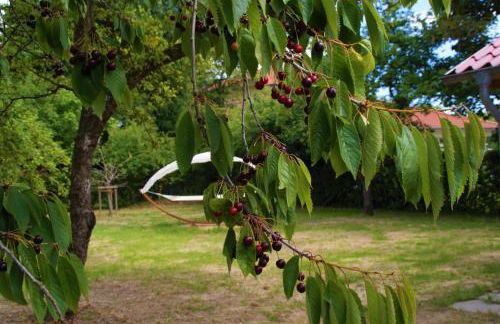 Rosen Villa - Photo 21