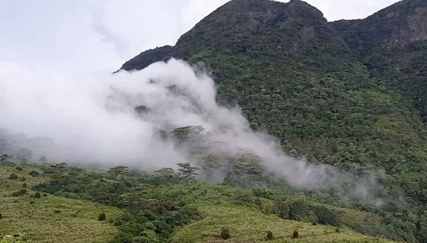 Knuckles Mountain Private Hiking Tour - Foto 3