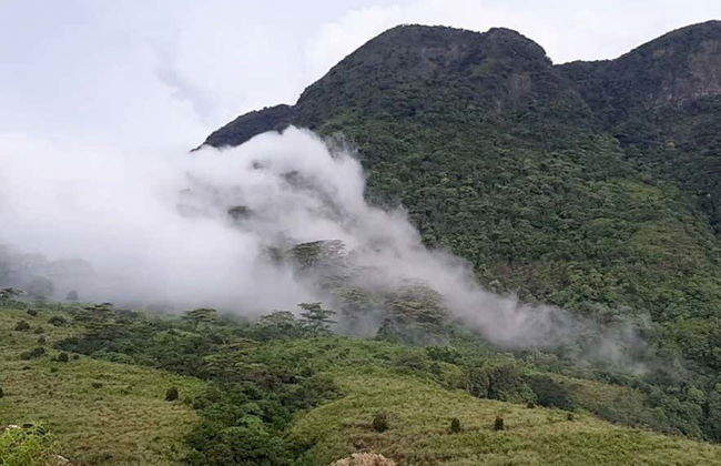 Randonnée privée dans la cordillère Knuckles - Photo 3