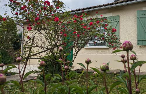 Petite maison proche l'aéroport Charles de Gaules, parc Astérix et Stade de France - Foto 10