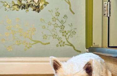 Muddy Boots-Arcade Royale - Photo 27