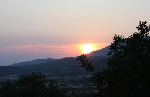 Six Steps From The Forest - Photo 10