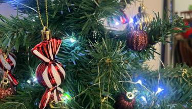 VICOLO CORTO Centro Storico Holiday & Home-Office - Foto 2