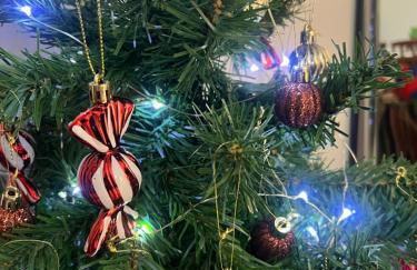 VICOLO CORTO Centro Storico Holiday & Home-Office - Foto 2