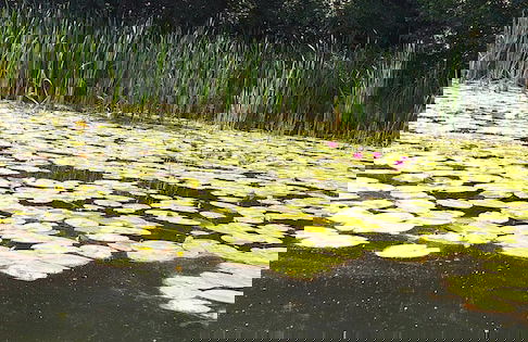 Large House by the Lake, Kashubia - Photo 32