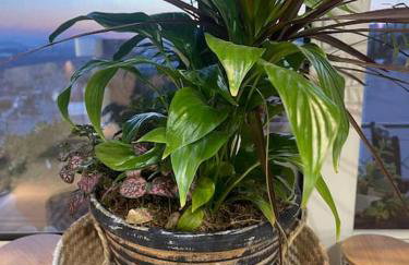 newly built apartment with amazing view - Foto 41