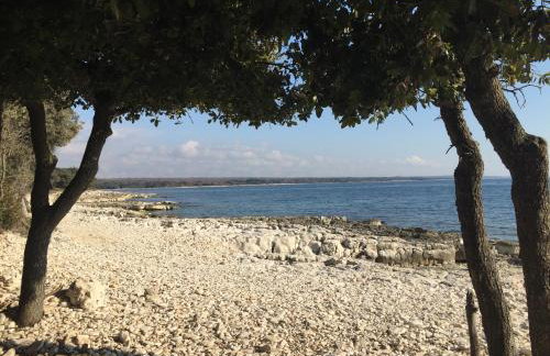 Apartment Enis - Photo 39